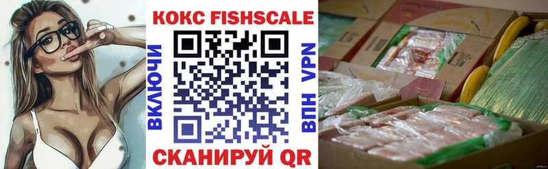 закладки  Куртамыш  Cocaine FishScale 