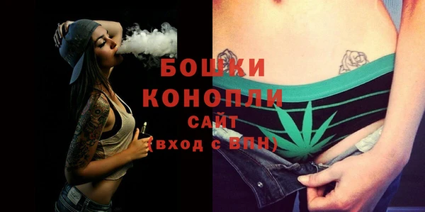 гашик Богородицк