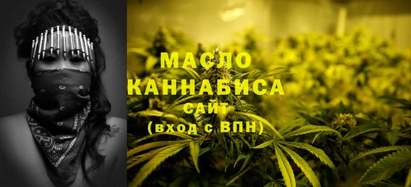 гашик Богородицк