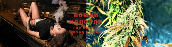 гашик Богородицк