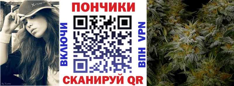 shop состав  Куртамыш  Бошки марихуана OG Kush 